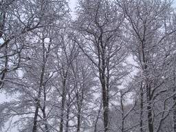 050303_neve-a-milano.jpg