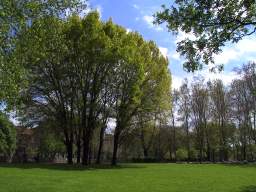 050425_giardini-a-milano.jpg